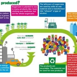 Wheat Biobuddi Educatieve Set Vormen 12 Wheat Biobuddi Educatieve Set Vormen -spellen-voor-volwassenen Winkel 550x382 1