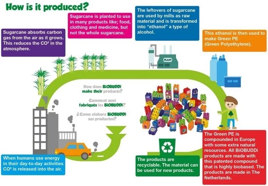 Wheat Biobuddi Educatieve Set Vormen 7 Wheat Biobuddi Educatieve Set Vormen - Afbeelding 5
