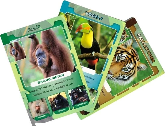 Merkloos Spellenbundel - Kwartet - 2 Stuks - Wildlife Kwartet & Junglelife Kwartet 9 Merkloos Spellenbundel - Kwartet - 2 Stuks - Wildlife Kwartet & Junglelife Kwartet - Afbeelding 7