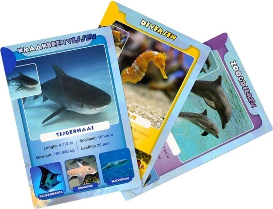 Merkloos Spellenbundel - Kwartet - 2 Stuks - Sealife Kwartet & Sport Weetjes Kwartet 6 Merkloos Spellenbundel - Kwartet - 2 Stuks - Sealife Kwartet & Sport Weetjes Kwartet - Afbeelding 4