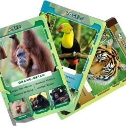 Merkloos Spellenbundel - Kwartet - 3 Stuks - Wildlife Kwartet & Junglelife Kwartet & Dino Kwartet -spellen-voor-volwassenen Winkel 550x421 9