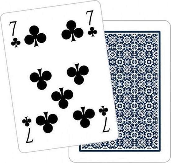 Dal Negro Speelkaarten Poker Karton Blauw 4 Dal Negro Speelkaarten Poker Karton Blauw - Afbeelding 2